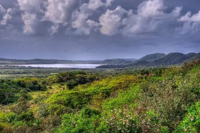 Lush landscape and wetlands in KwaZulu-Natal, South Africa